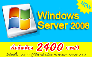 Windows Hosting